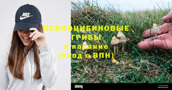 мяу мяу кристалл Гусь-Хрустальный