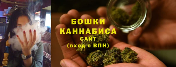 ECSTASY Гусиноозёрск