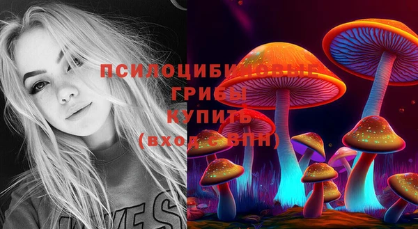 MDMA Гусев