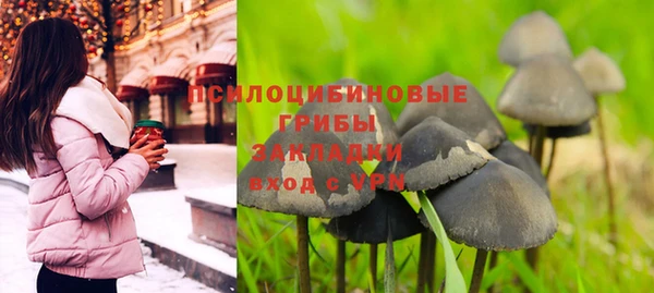 мяу мяу кристалл Гусь-Хрустальный