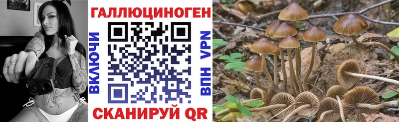 Купить  Михайлов  Галлюциногенные грибы MAGIC MUSHROOMS 